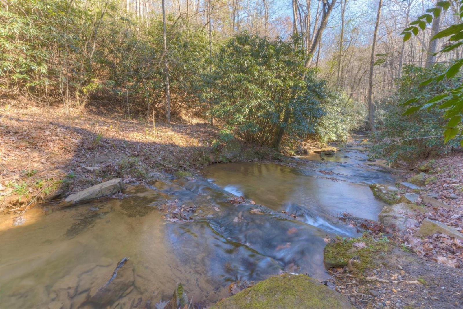 Rushing Waters - Creekside Cabin In North Ga Blue Ridge Extérieur photo
